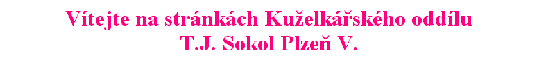 T.J. Sokol Plze V.